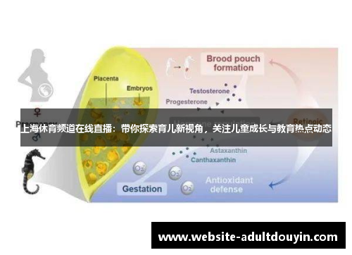 上海休育频道在线直播：带你探索育儿新视角，关注儿童成长与教育热点动态